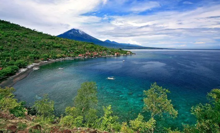 Ayuri * Jasri